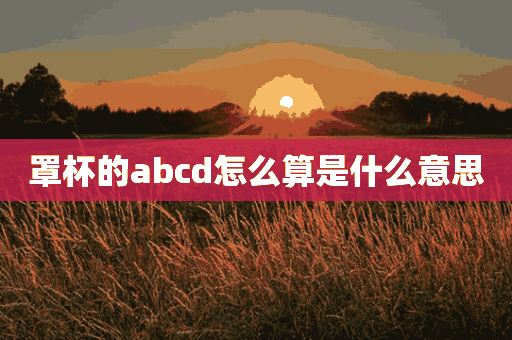 罩杯的abcd怎么算是什么意思